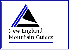 NE Mtn Guides logo